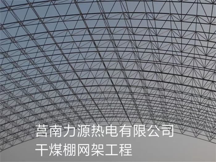 肇庆力源热电有限公司干煤棚网架工程